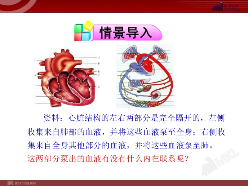 第三节输送血液的泵—心脏二七年级下册.ppt_第2页