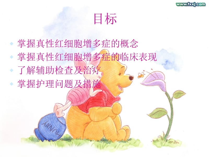 真性红细胞增多症.ppt_第2页