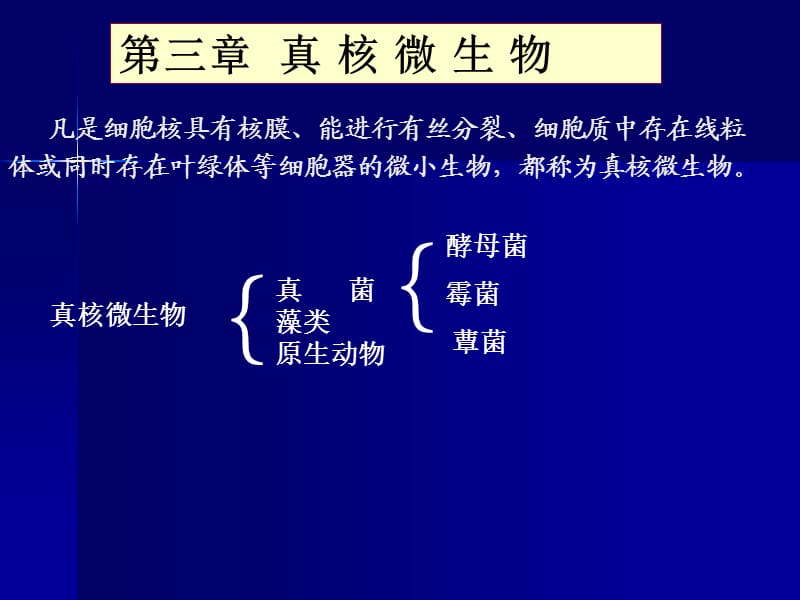 第3章真核微生物简.ppt_第2页