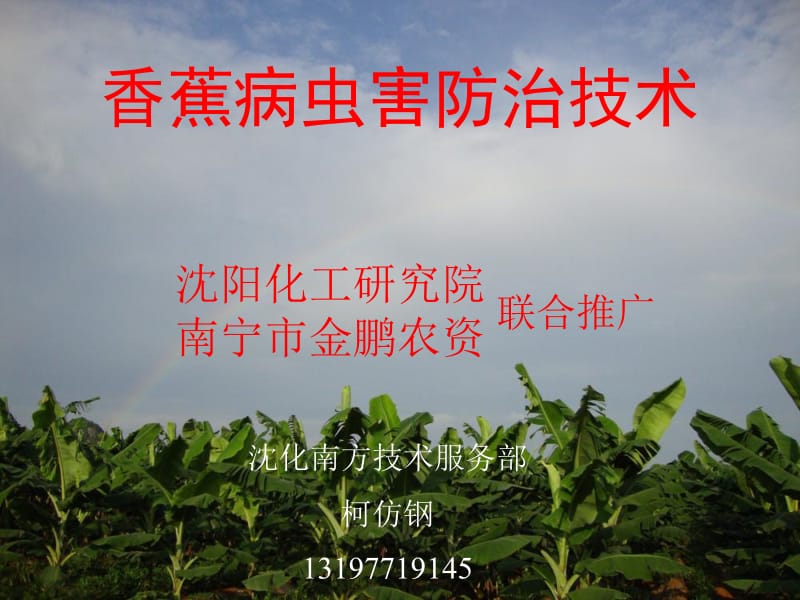 香蕉病虫害防治技术.ppt_第1页