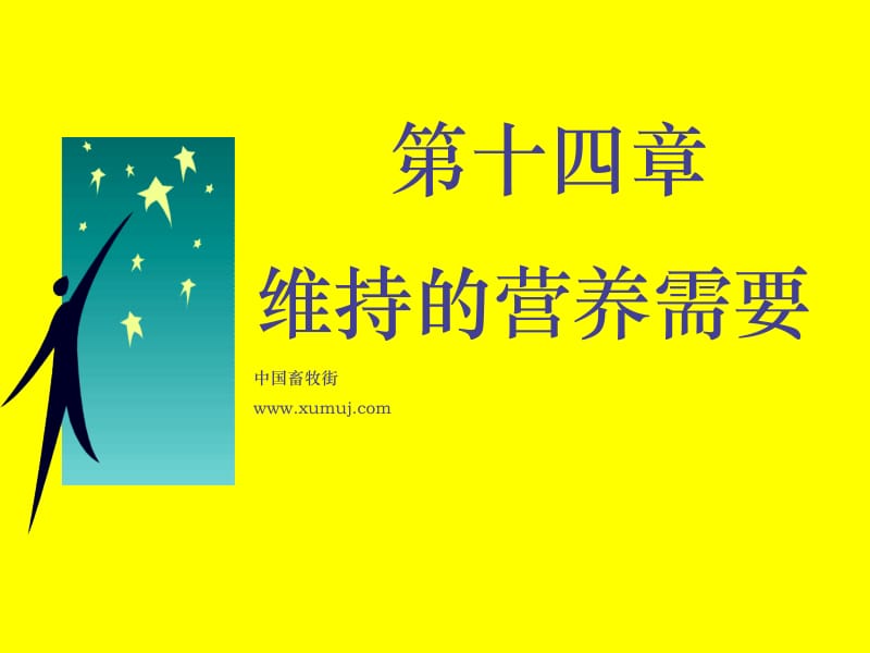 维持的营养需要.ppt_第1页