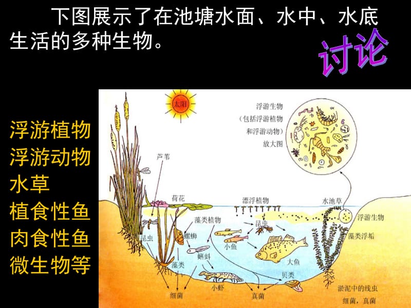 群落的结构H.ppt_第2页