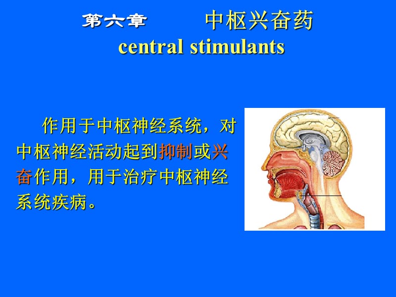 第六章中枢兴奋药.ppt_第1页