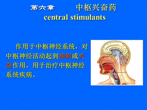 第六章中枢兴奋药.ppt