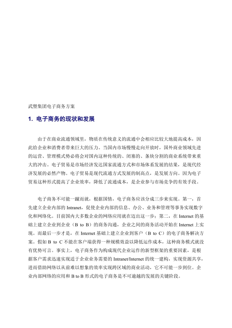 武塑集团电子商务方案.doc_第1页