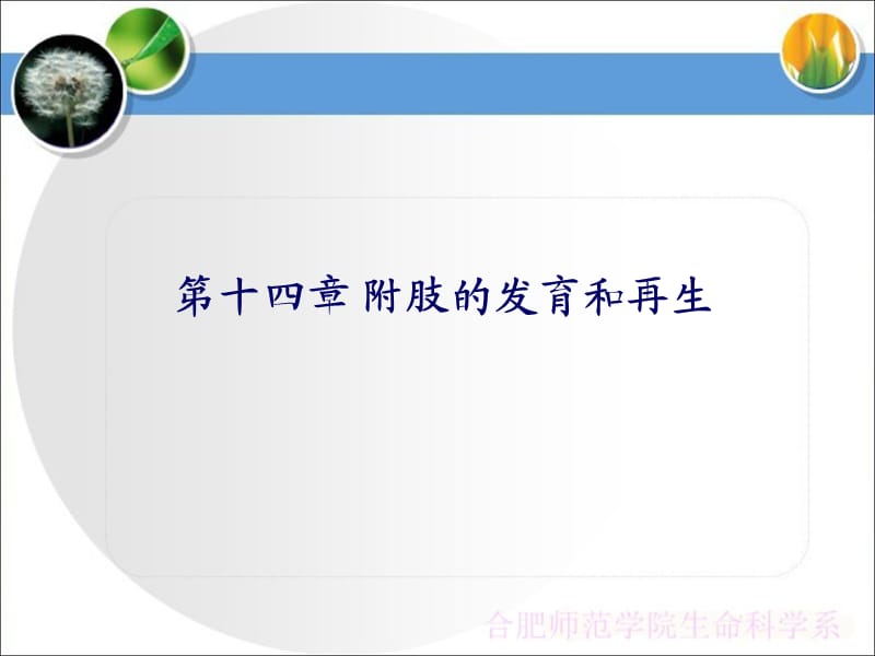 第十四章附肢的发育和再生.ppt_第1页