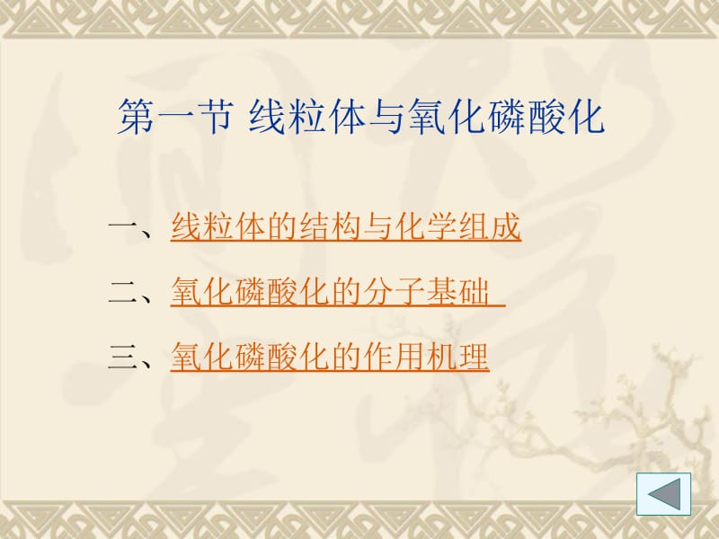 第六章细胞的能量转换.ppt_第2页