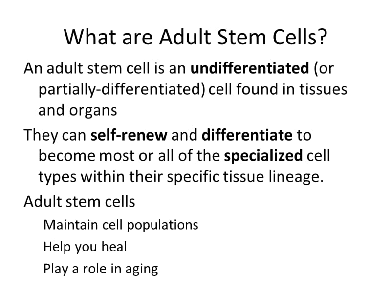 Adult Stem Cells, Homeostasis,and Regenerative Medicine分子与细胞PPT课件.ppt_第2页