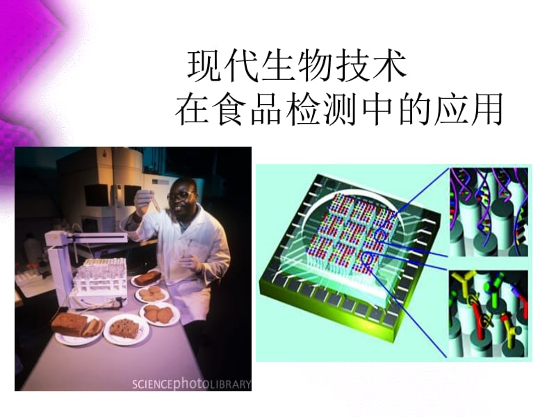 第八章第一节酶传感器.ppt_第2页