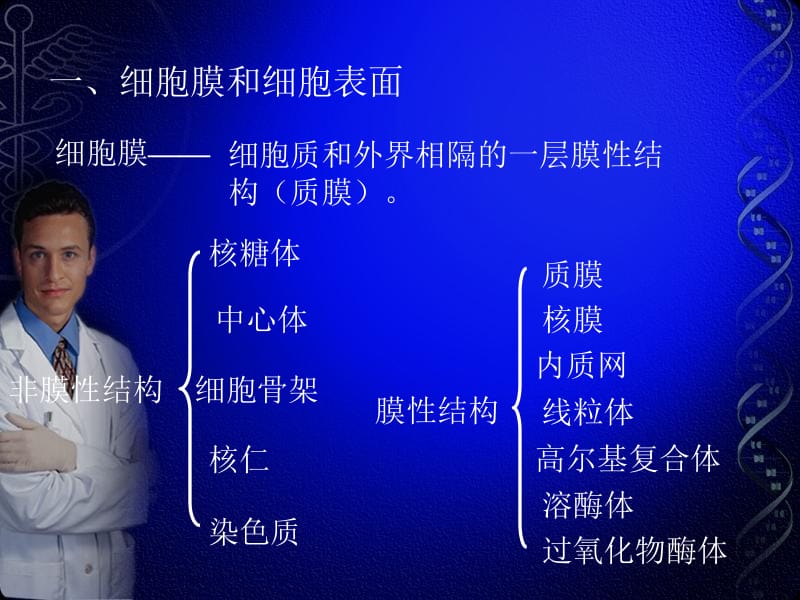 细胞的结构.ppt_第2页