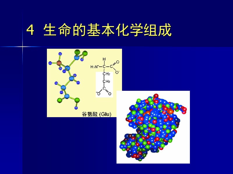 4a 生命的基本化学组成.ppt_第1页