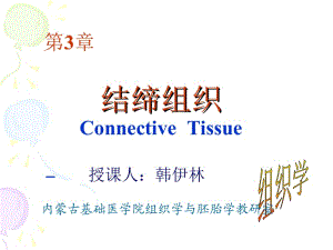 组织学第3章结缔组织.ppt