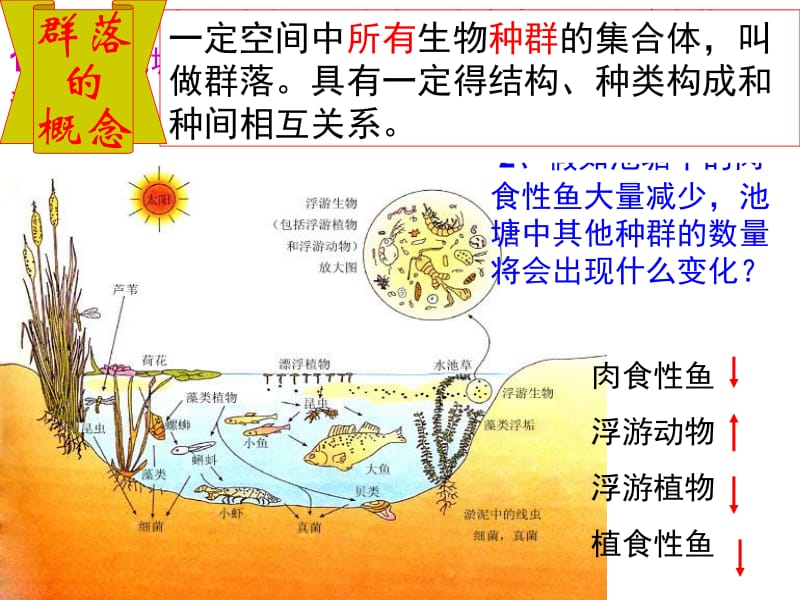 第五章群落.ppt_第2页