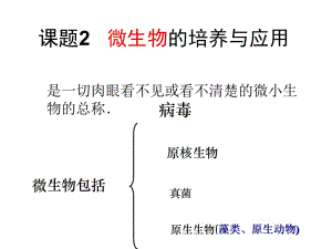 选修121微生物的培养与应用.ppt