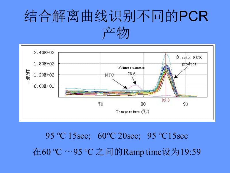 荧光定量PCR技术4ppt课件.ppt_第2页