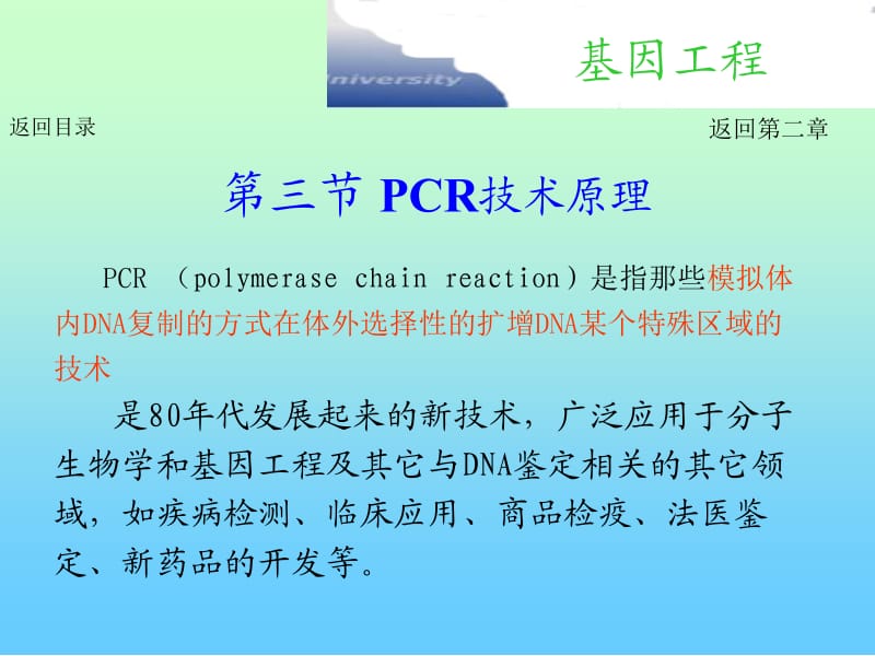 第二章基因工程主要技术原理-PCR技术.ppt_第1页