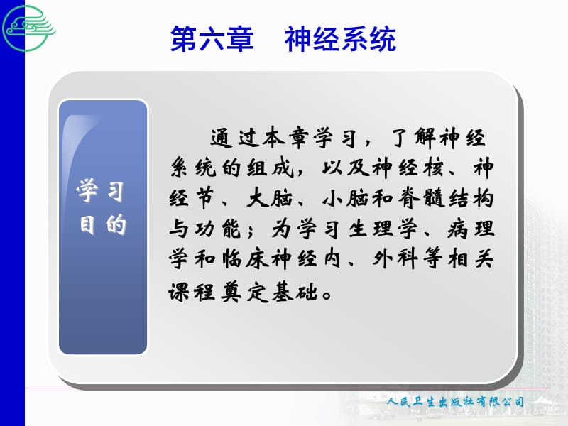 第六章神经系统.ppt_第1页