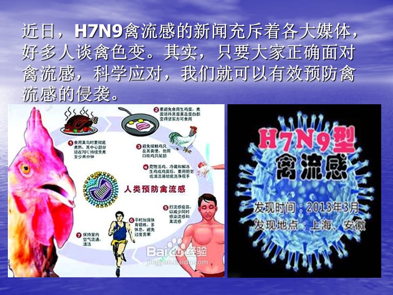 H7N9禽流感的预防课件.ppt_第3页