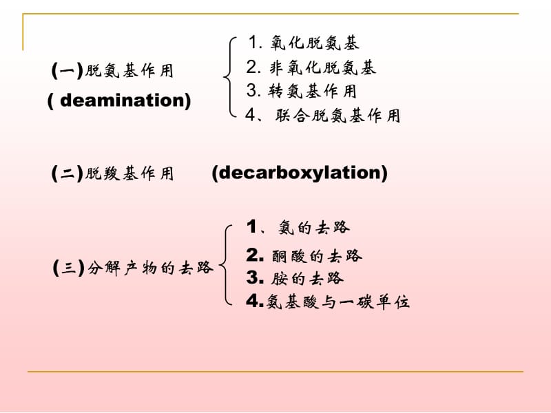 第十二章含氮化合物代谢MicrosoftPowerPoint.ppt_第2页