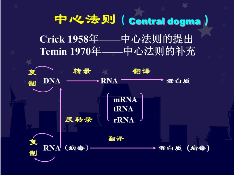 第2章中心法则.ppt_第1页