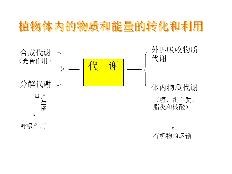 第四章呼吸作用.ppt_第2页