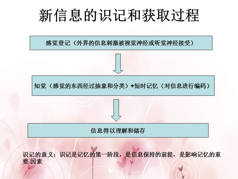 识记信息的获得也就是信息的输入和编码过程.ppt_第2页