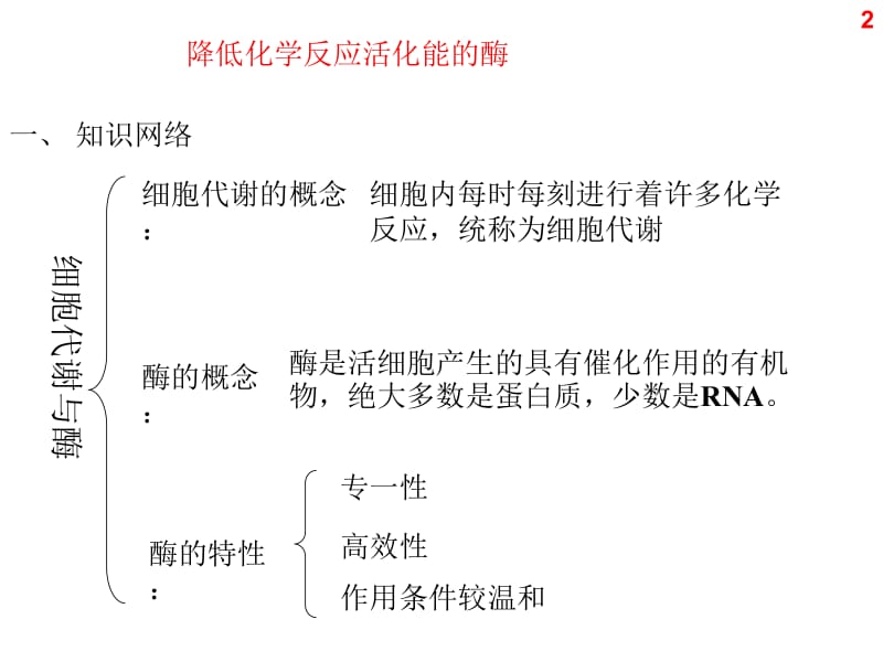 第五章细胞的能量供应和利用.ppt_第2页