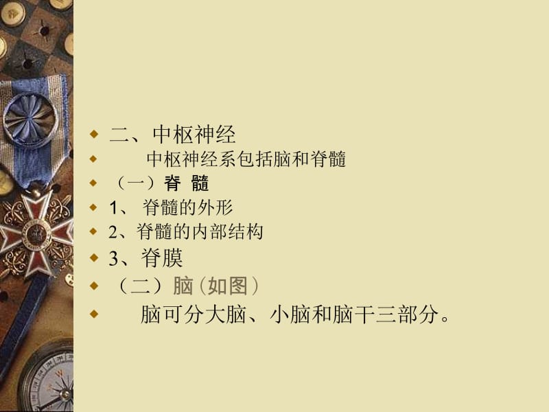 神經系统.ppt_第2页