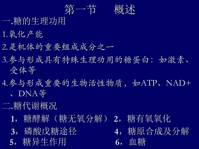 第四章糖代谢.ppt_第2页