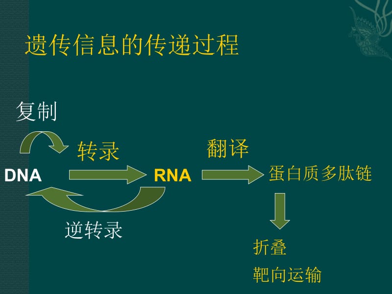 翻译及翻译后加工.ppt_第2页