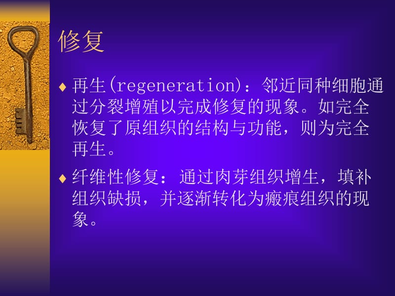 第二章 损伤的修复.ppt_第2页