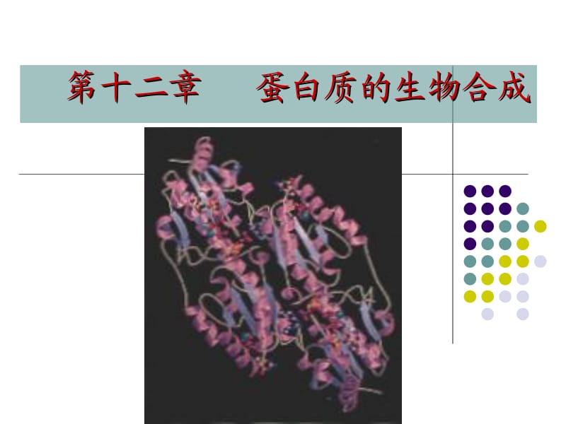 第十三章蛋白质的生成.ppt_第1页