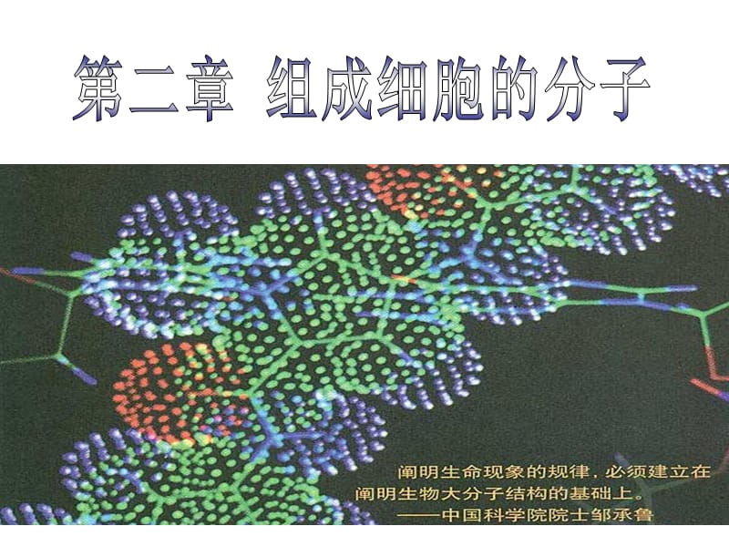 第二章第三节遗传信息的携带者DNA.ppt_第1页