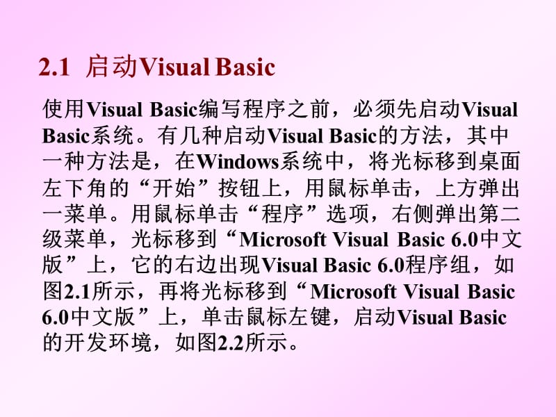设计一个简单的VisualBasic应用程序.ppt_第2页