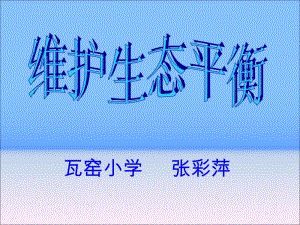 维护生态平衡2007.ppt