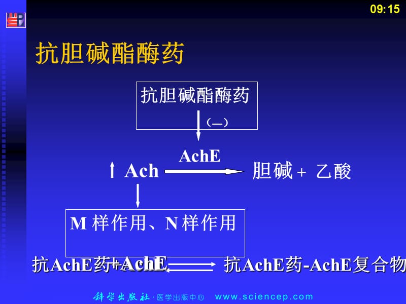 第2章2传出神经系统药物.ppt_第1页