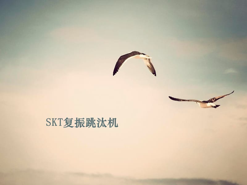 SKT复振跳汰机.ppt_第1页