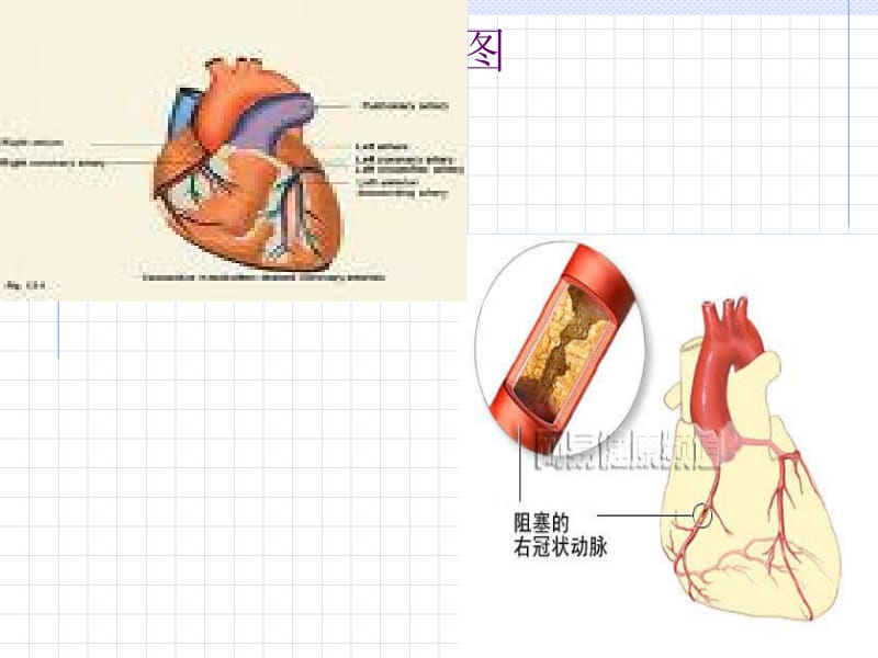 第九章心血管病及其营养调理.ppt_第2页