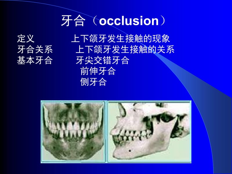 牙合occlusion.ppt_第1页