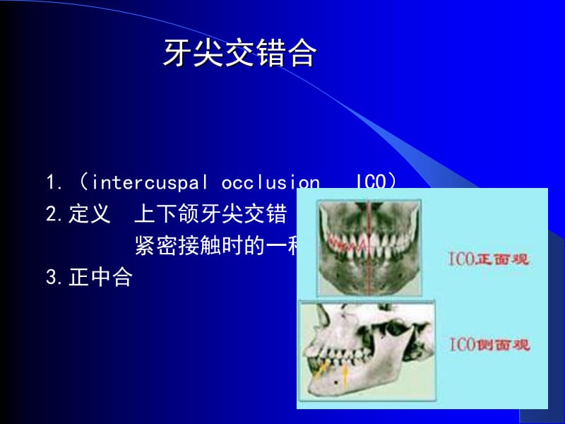 牙合occlusion.ppt_第2页