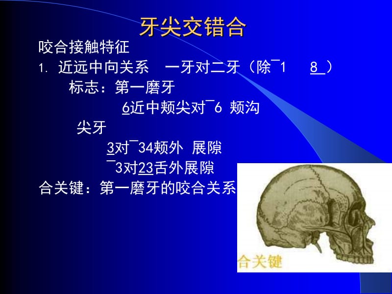 牙合occlusion.ppt_第3页