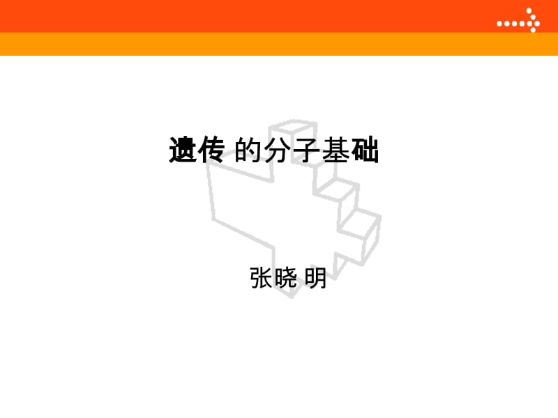 第十二章遗传的分子基础.ppt_第1页