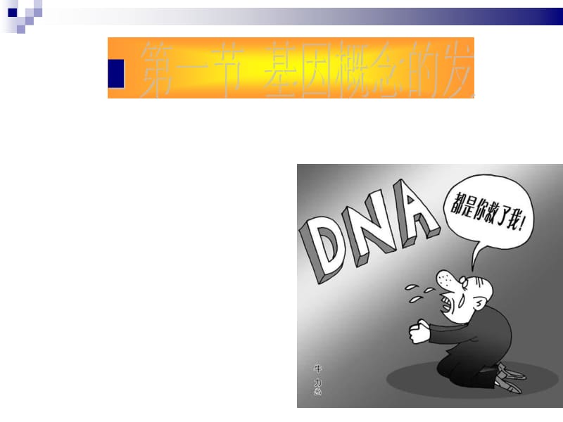 第十一章基因.ppt_第2页