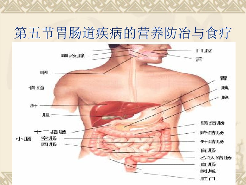 第四章疾病营养学3.ppt_第1页