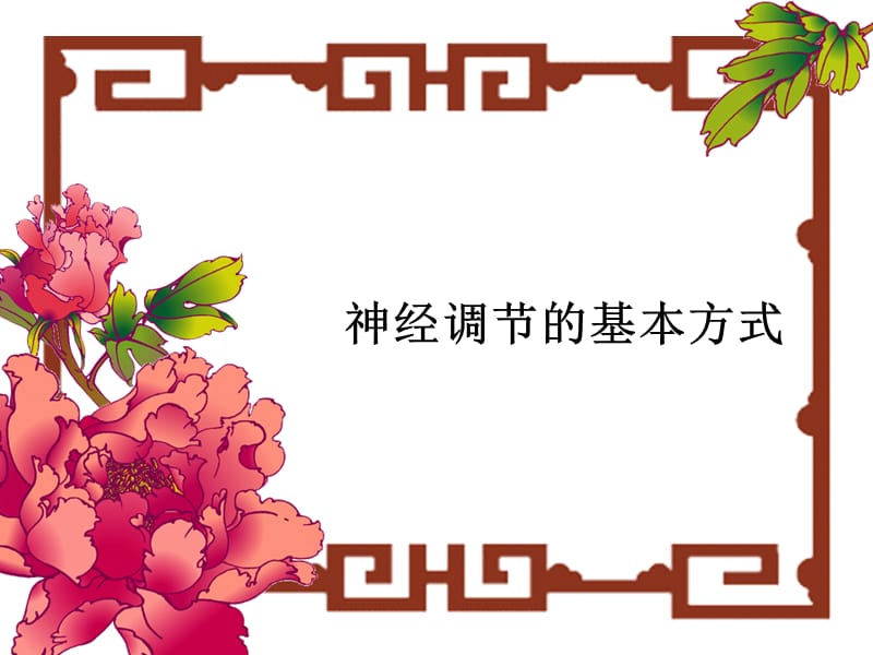 神经调的基本方式.ppt_第1页