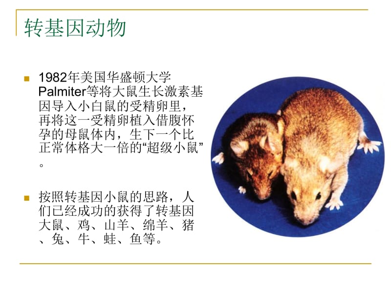 细胞科学报告选题20111112.ppt_第2页