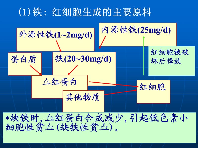 第二章细胞的血型和血细胞.ppt_第2页