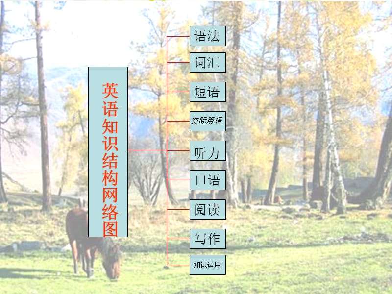英语知识结构网络图.ppt_第2页