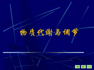 第四章糖代谢1.ppt