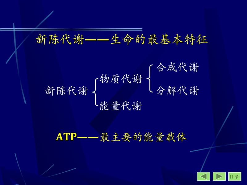 第四章糖代谢1.ppt_第2页